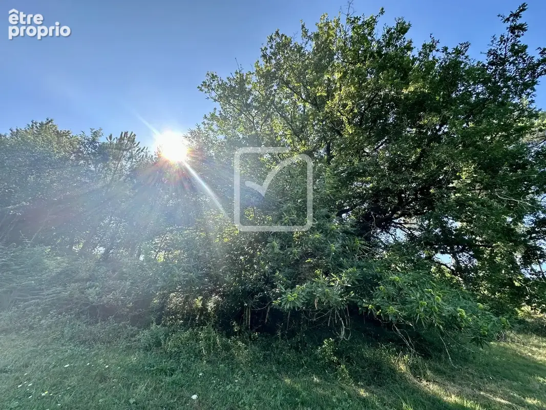 Terrain de 2241 m2 à Marquay - photo 2