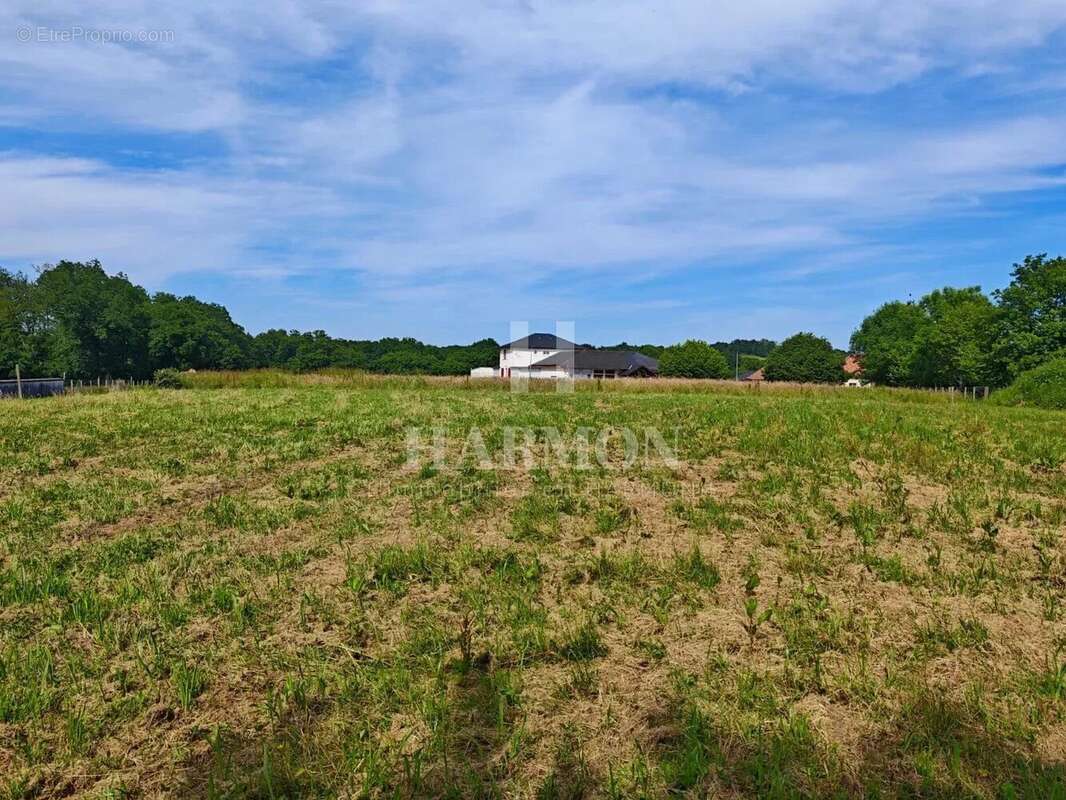 Terrain à LAHOURCADE