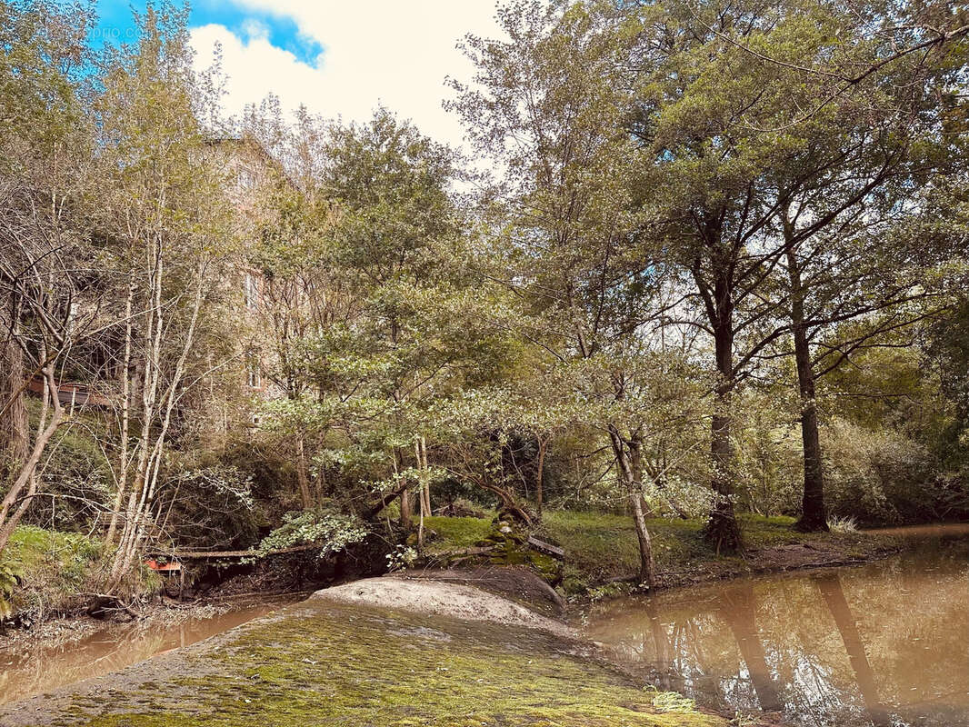 Maison à LES LUCS-SUR-BOULOGNE