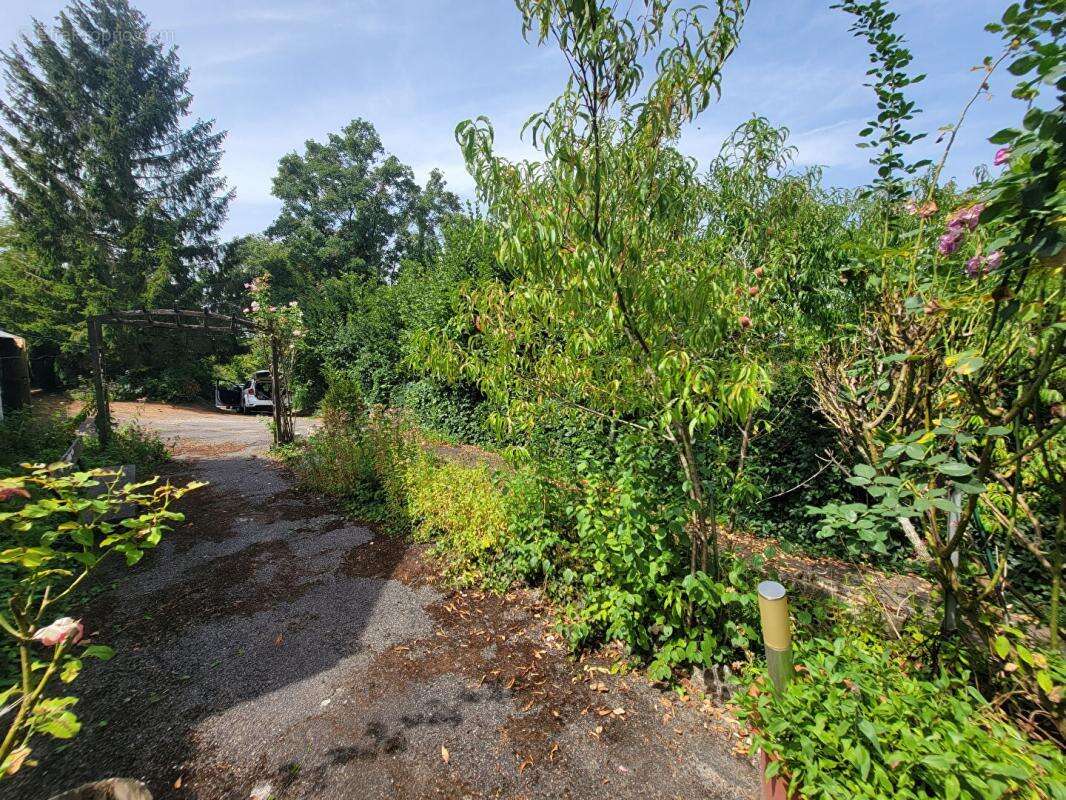 Maison à BETZ-LE-CHATEAU