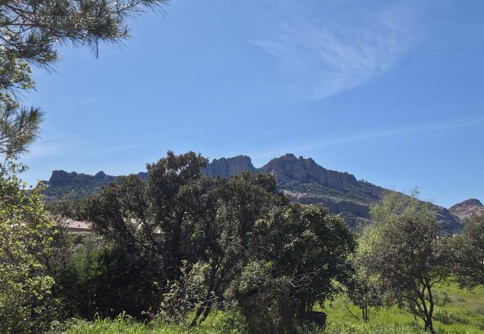 Terrain 662 m² à Roquebrune-Sur-Argens  - photo 4