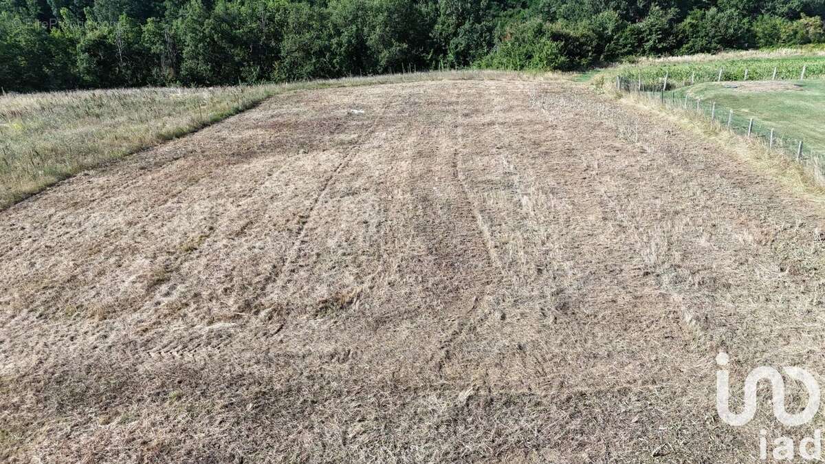 Photo 2 - Terrain à DURFORT-LACAPELETTE