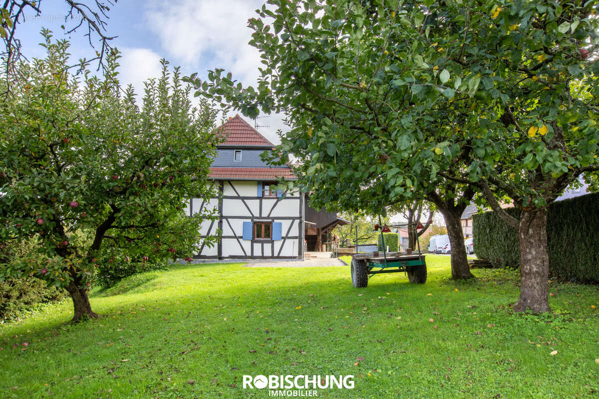 Maison à MANSPACH