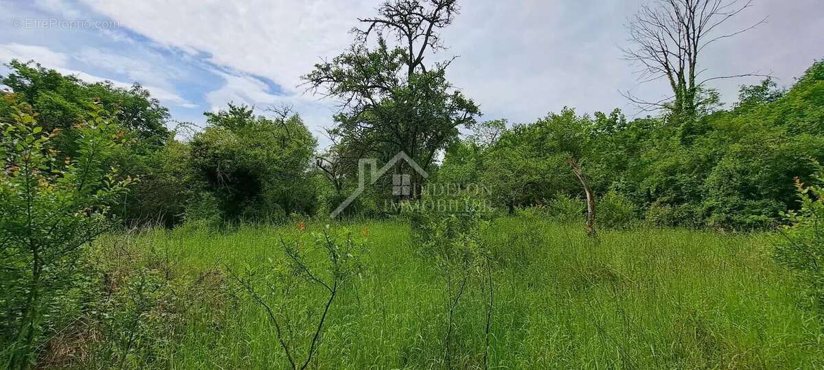 Terrain à NORROY-LES-PONT-A-MOUSSON