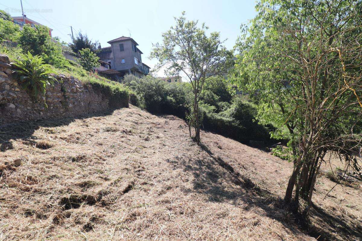 Terrain à L&#039;ESCARENE