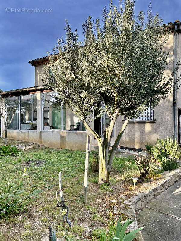 villa avec jardin - photo 2