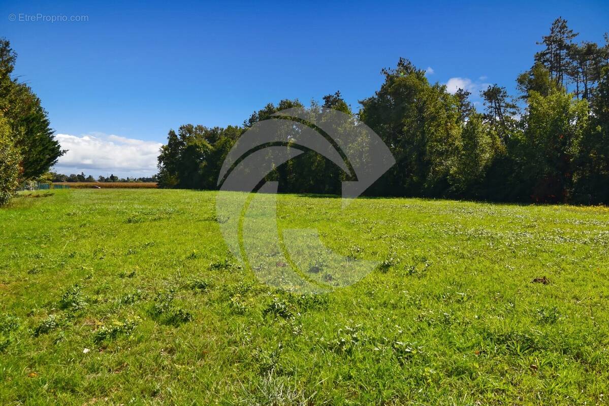 Terrain à NEGREPELISSE