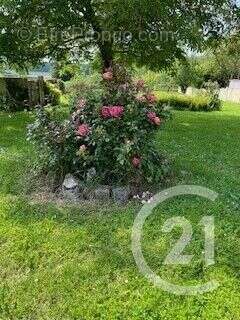 Maison à MONTGE-EN-GOELE