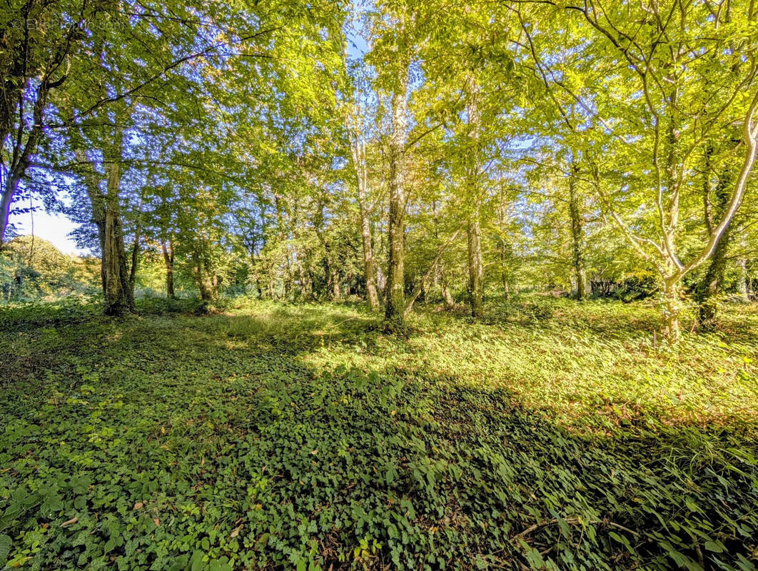 Terrain à GALLUIS