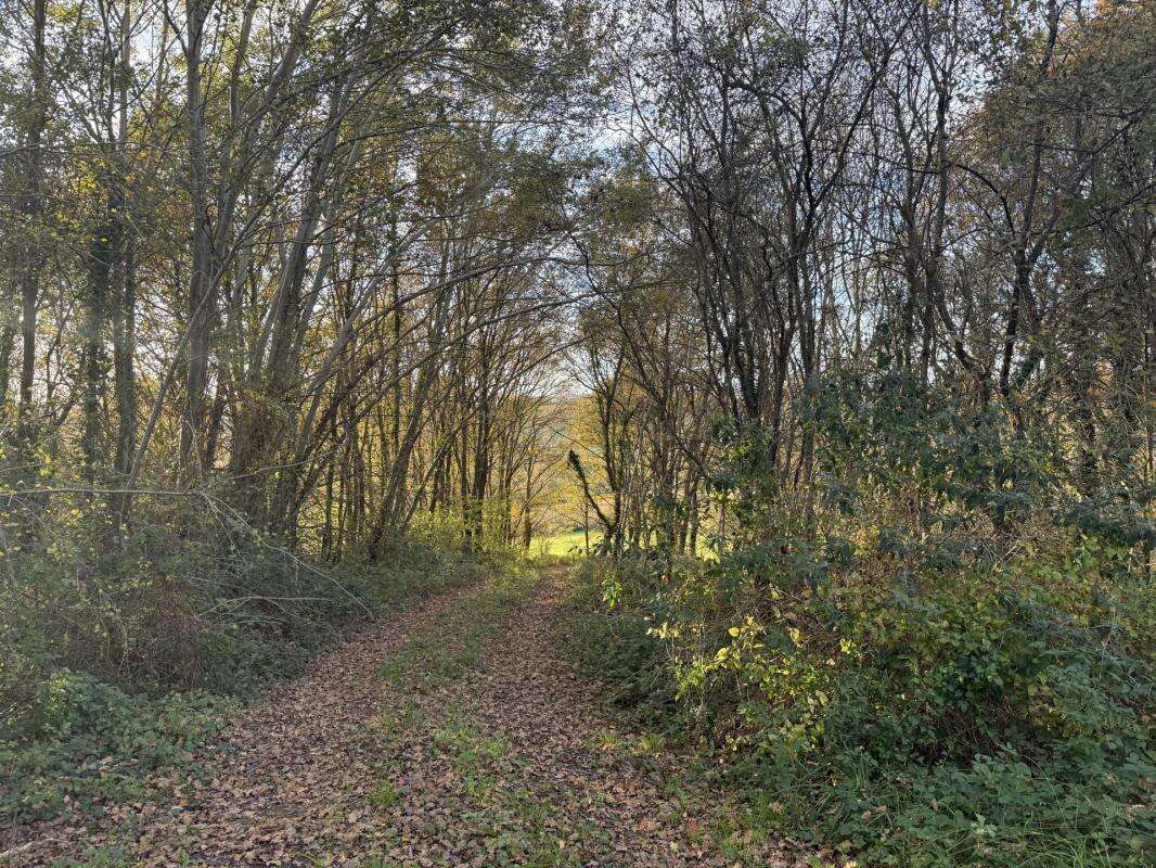Terrain à BRASSEMPOUY
