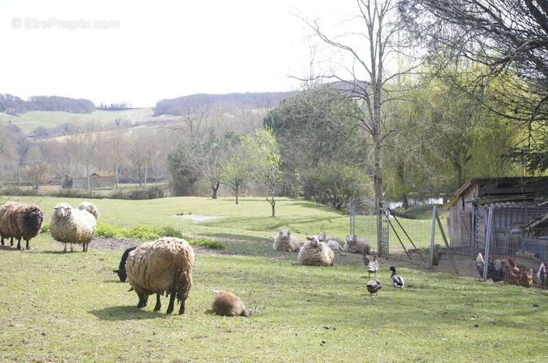Maison à SAINT-JEAN-POUTGE