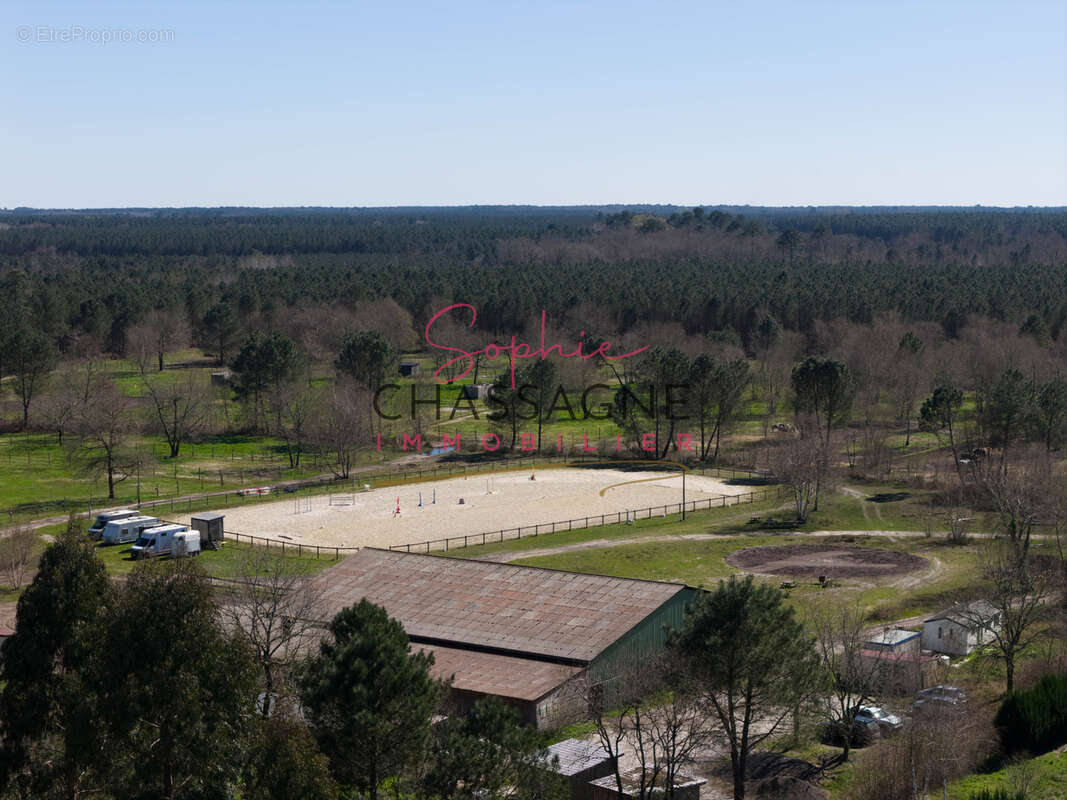 À 20 minutes de Lacanau, sur plus de 10 hectares, écurie de propriétaires avec maison de 80 m2 et installation - photo 3