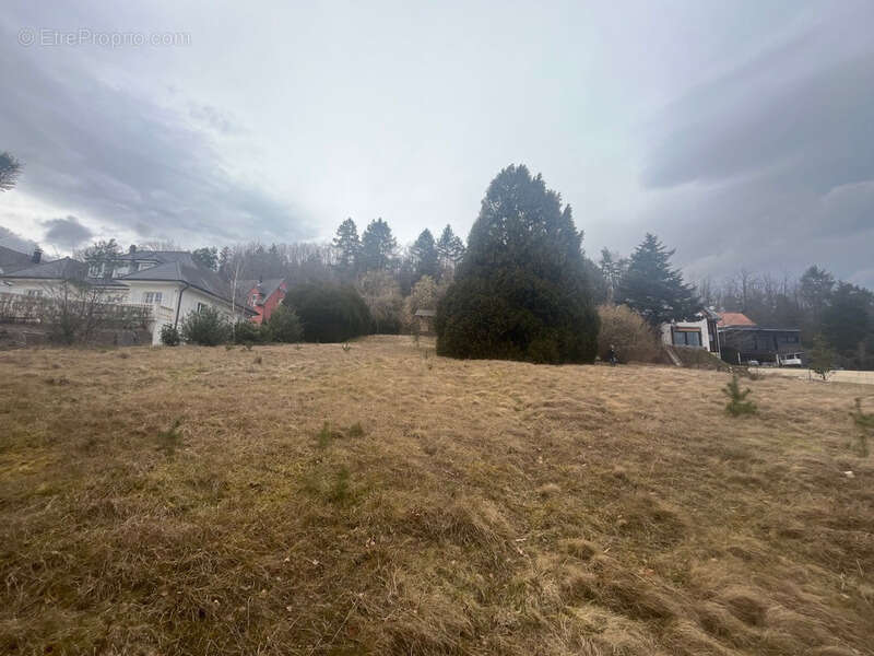 Maison à OBERHASLACH