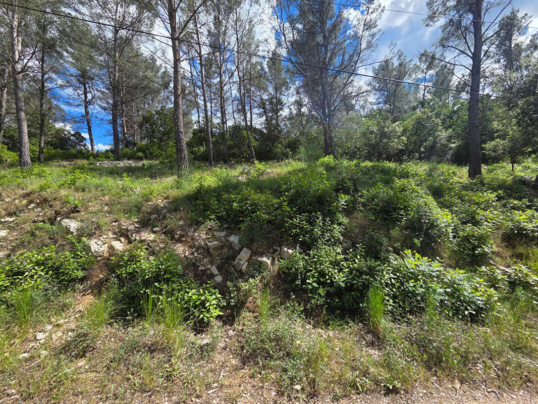 Terrain à SOLLIES-TOUCAS