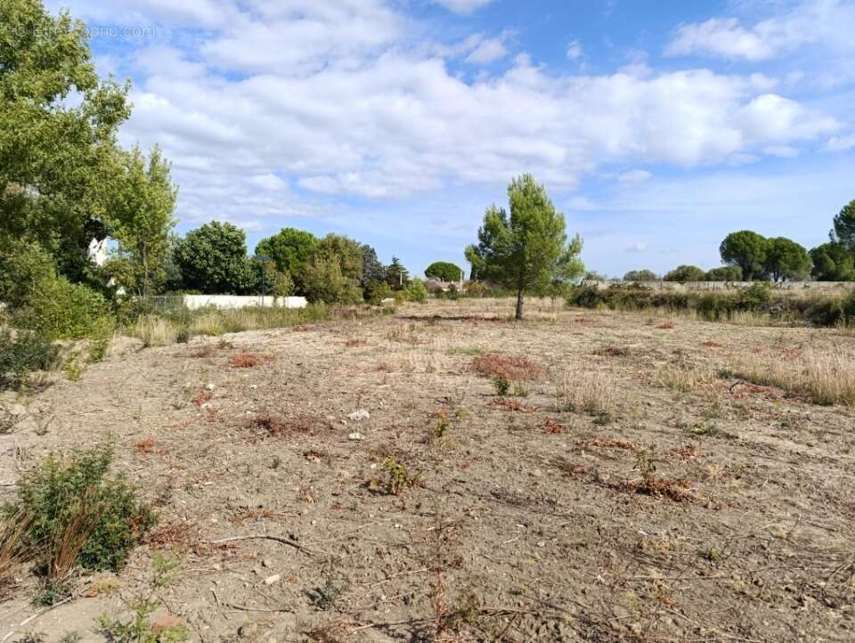 Terrain 250 m² à Poussan  - photo 2