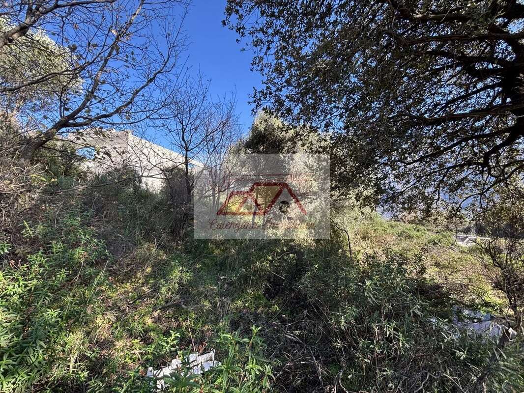 Terrain à CALENZANA