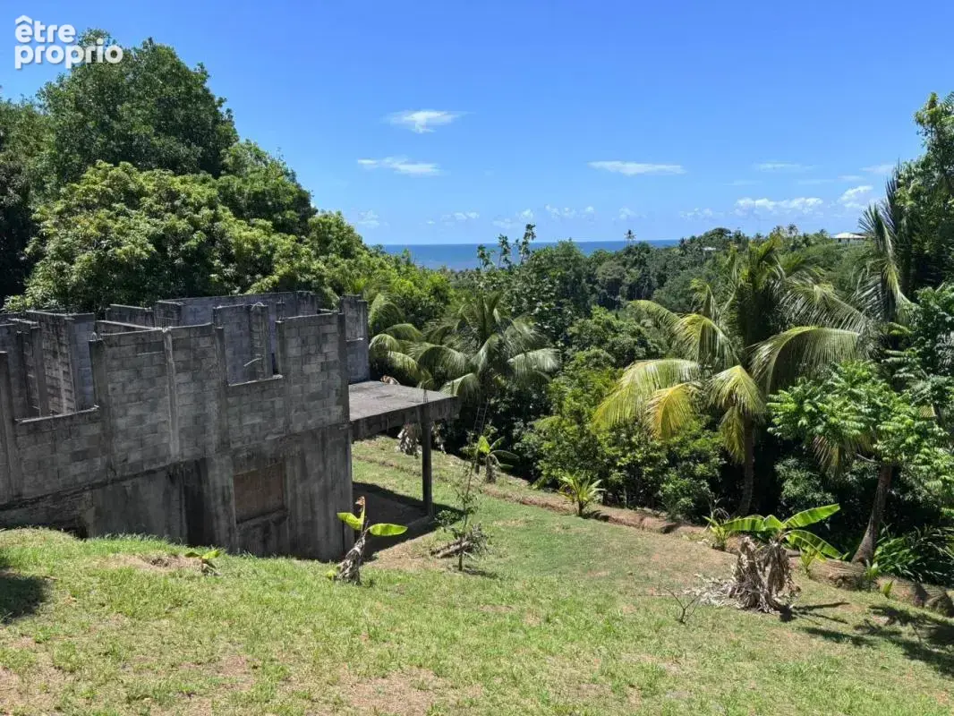 À Goyave, découvrez une propriété au fort potentiel ! Sur une parcelle verdoyante de 2 938 m², cette maison offre 4 chambres, de - photo 16