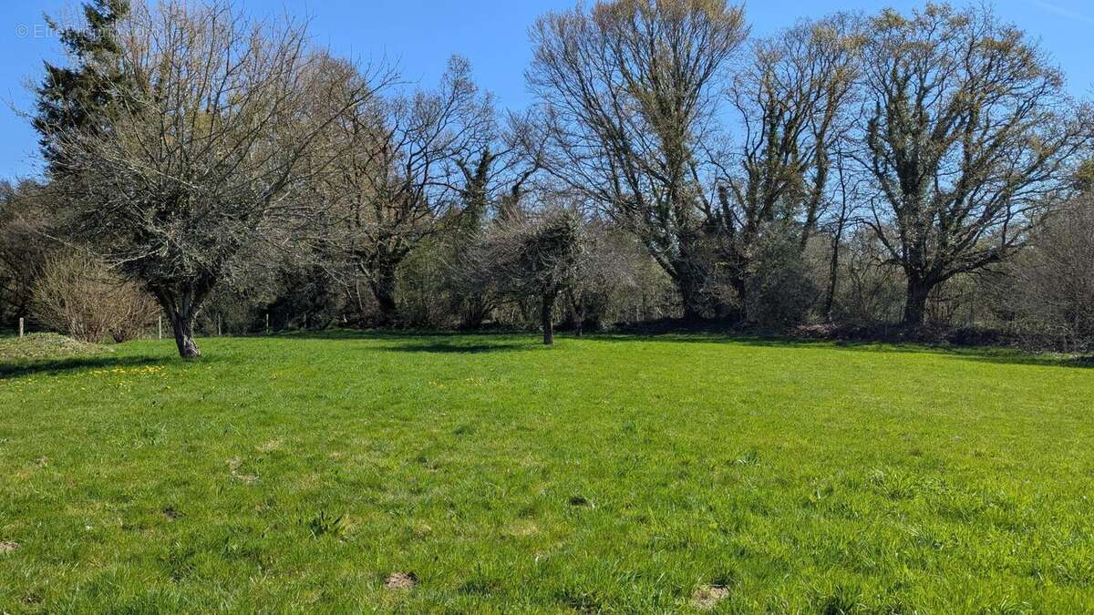 Photo 2 - Maison à LANGONNET