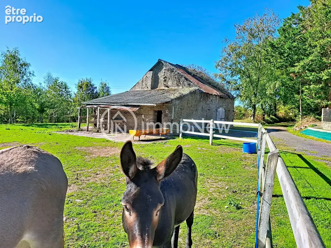 Propriété de caractère/VILLEBAUDON/6 hectares bois et forêt - photo 22