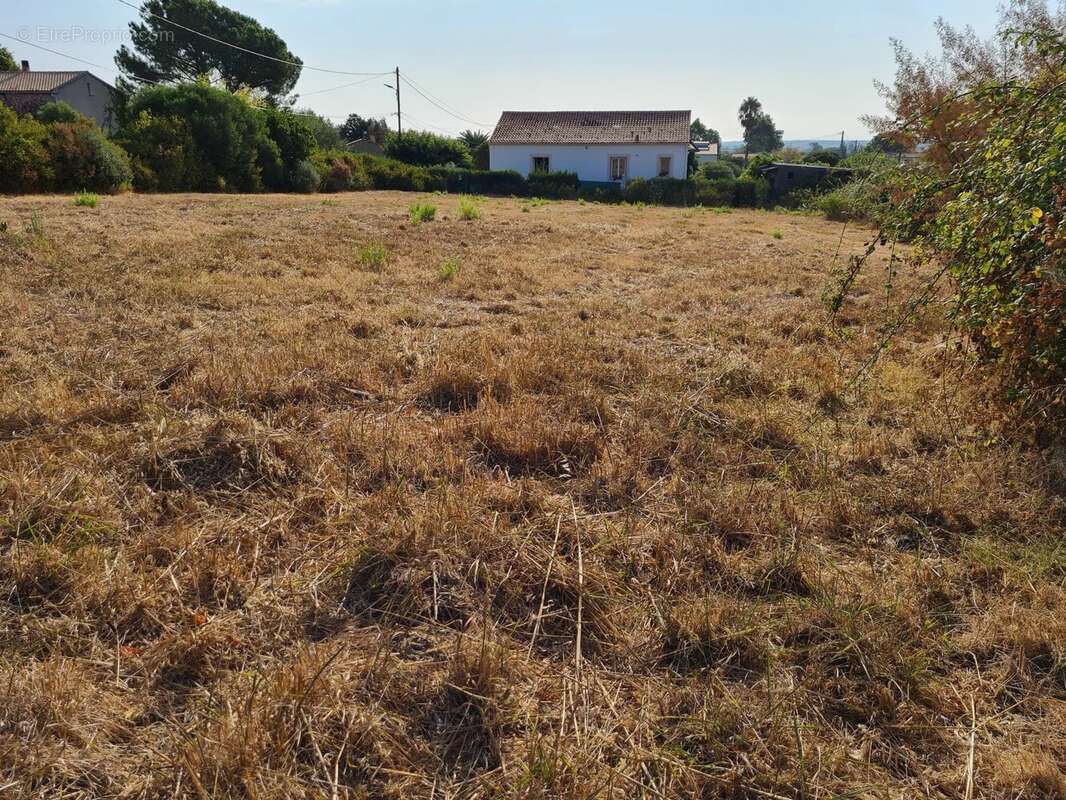 Exclusivité - pietroso  terrains a bâtir - photo 2