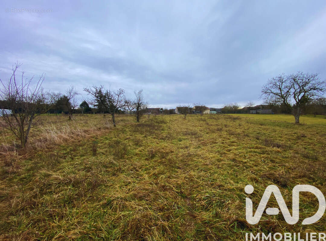 Terrain 1150 m² à Einvaux  - photo 2