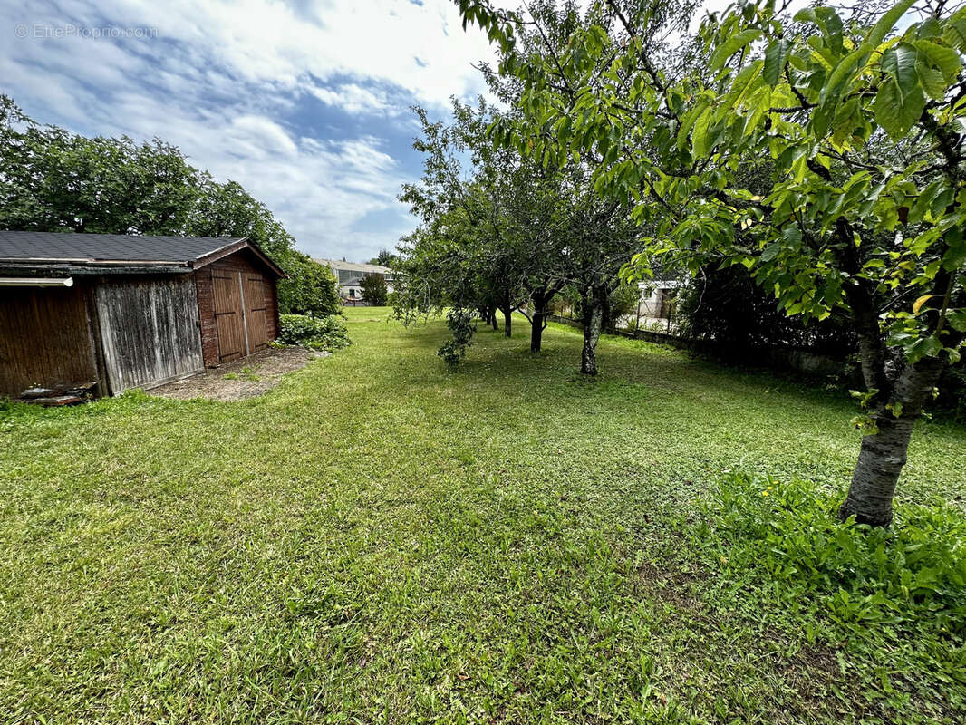 Terrain à SAINT-AULAYE