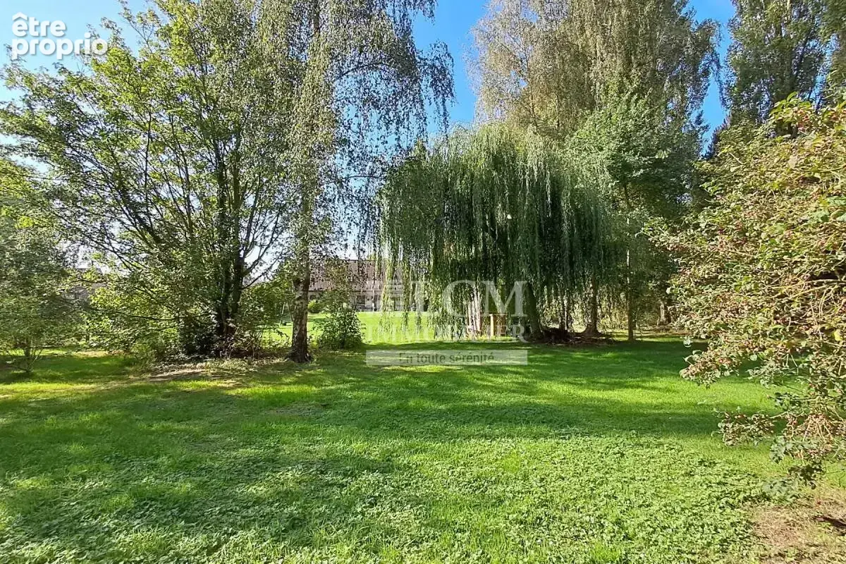 Winnezeele — Cocon familial avec jardin d’exception, 150 m² sur 3 610 m² - photo 12