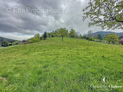 Terrain à WANGENBOURG-ENGENTHAL