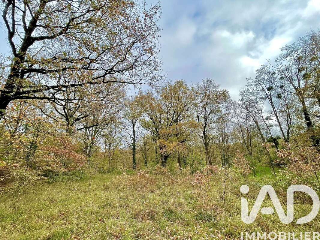 Photo 4 - Terrain à LE BLANC