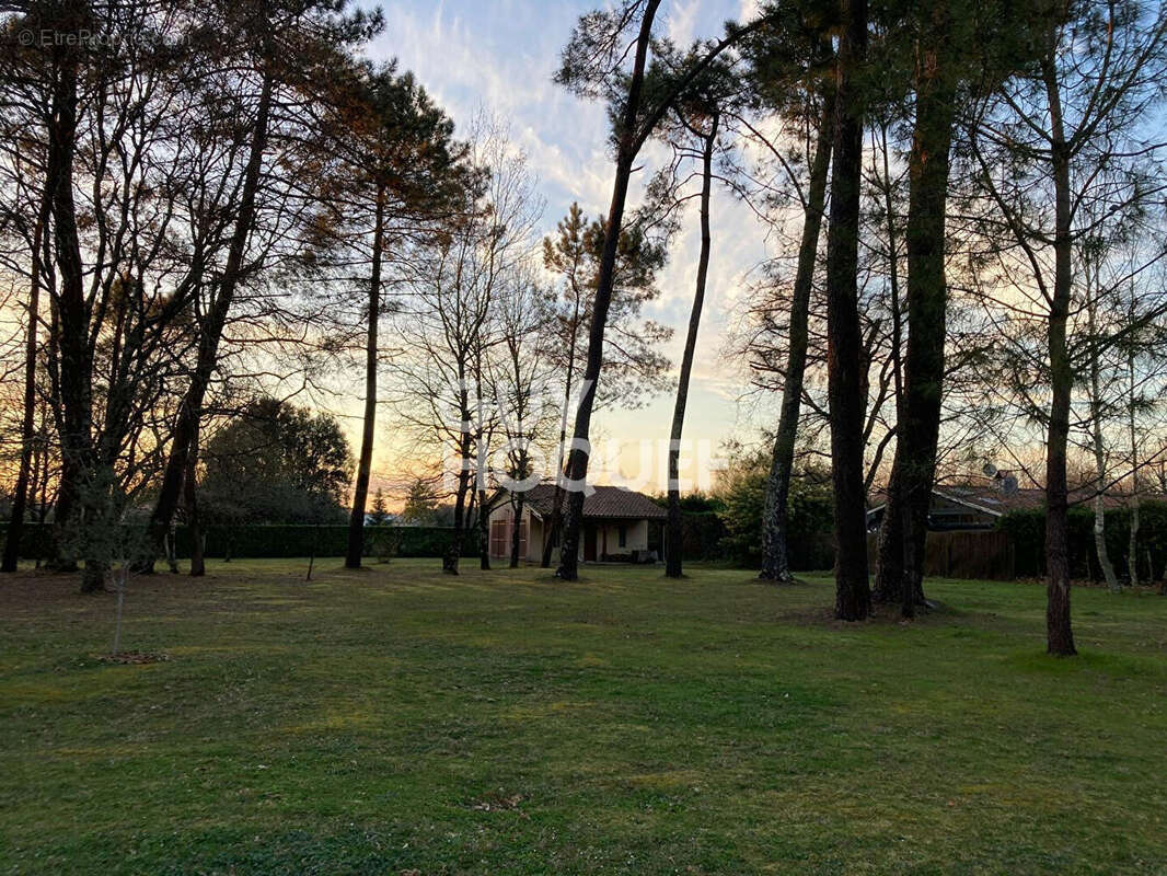 Terrain à LESPARRE-MEDOC