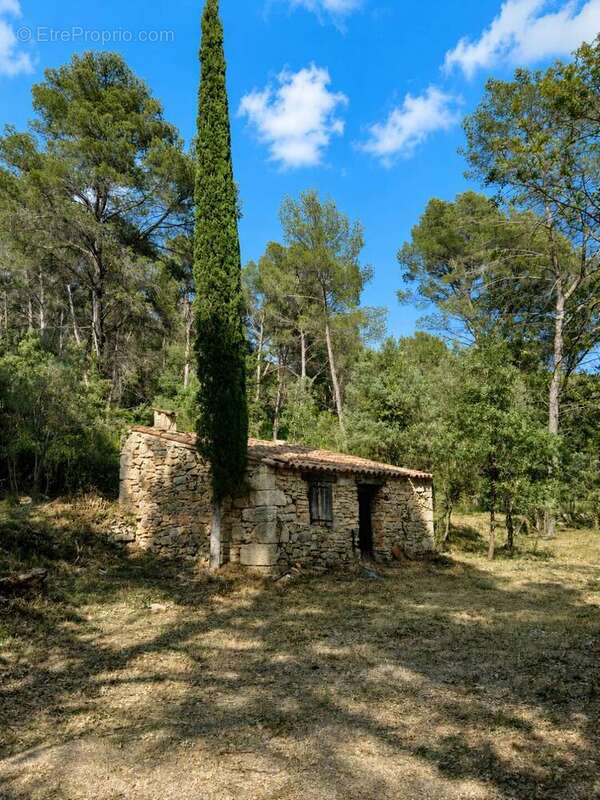 Terrain de 7000m² avec cabanon et 1100m² de - photo 7