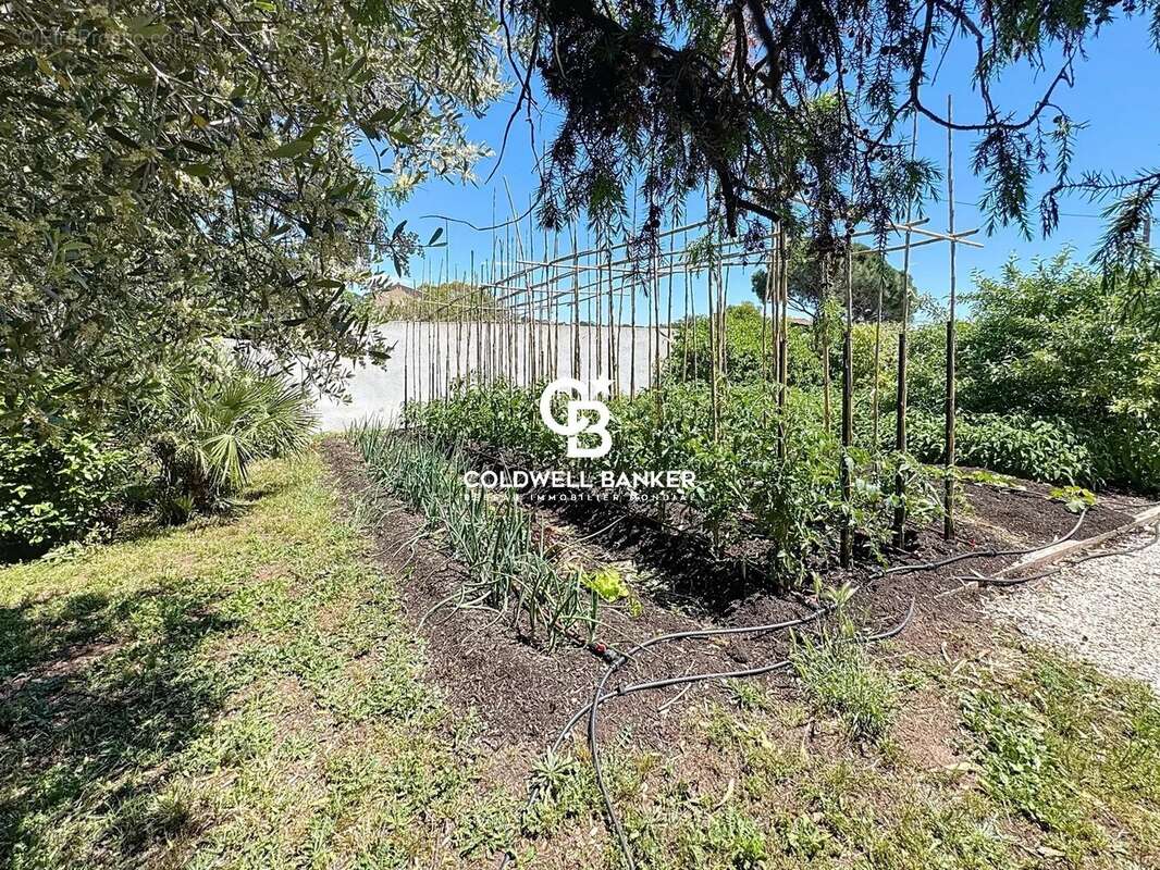 Maison à PUGET-SUR-ARGENS