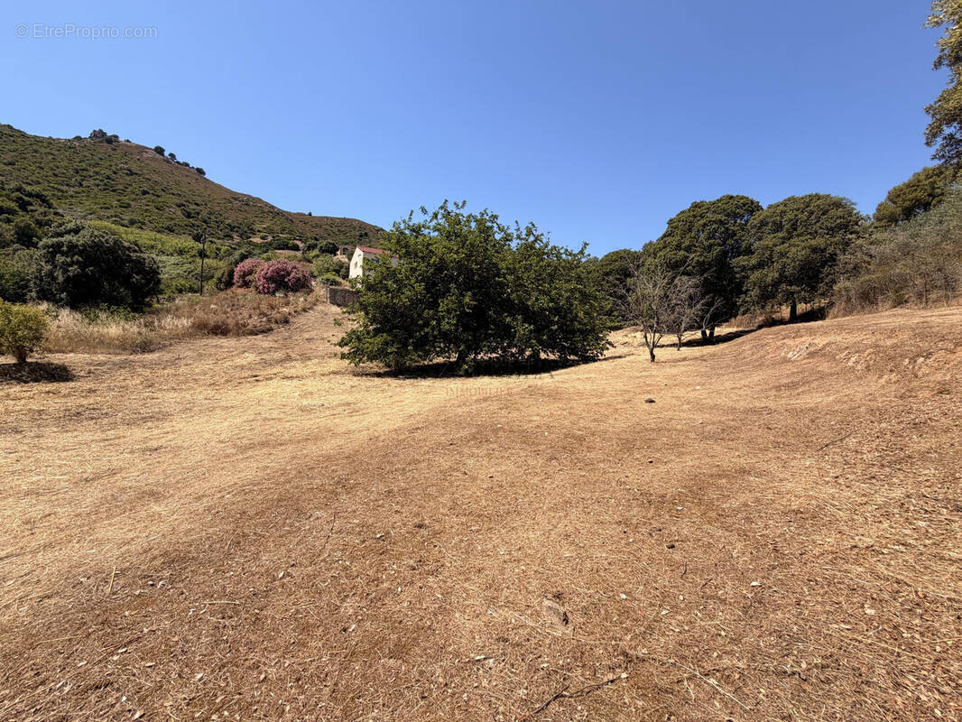 Terrain à ALATA