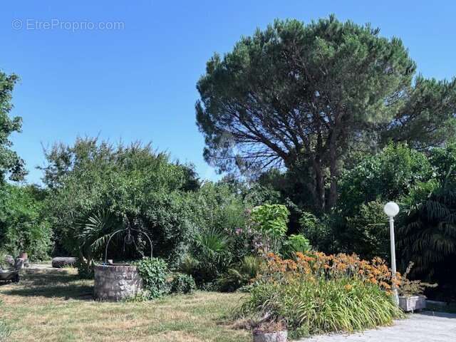 Propriété de caracttère du XIXème siécle - 265 m² avec piscine sur terrain de 1320 m² - photo 4