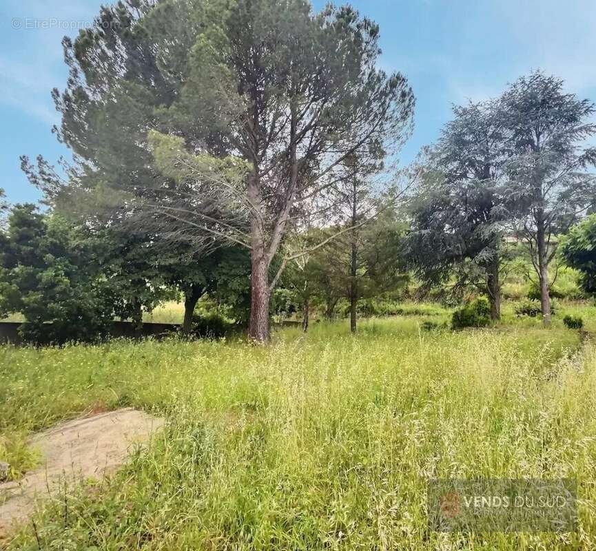 Maison à LE BOUSQUET-D&#039;ORB