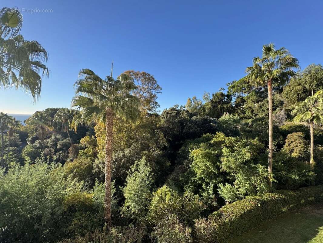 Appartement à VALLAURIS