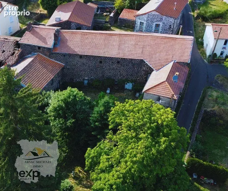 Maison 556 m² à Cayres  - photo 3