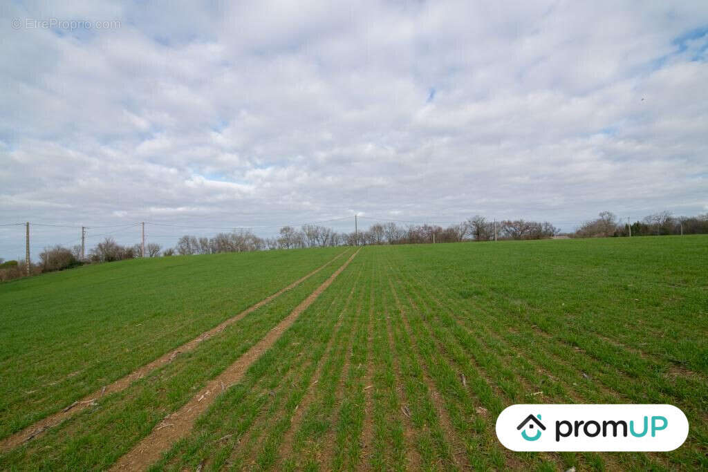 Terrain à SEMPESSERRE