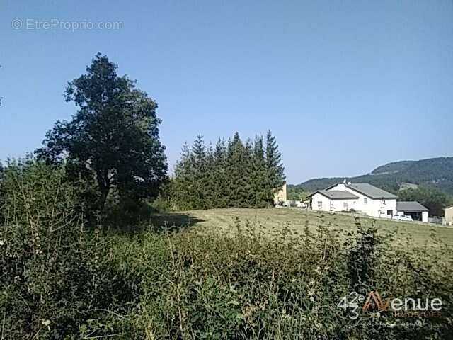 Terrain à SAINT-JULIEN-CHAPTEUIL