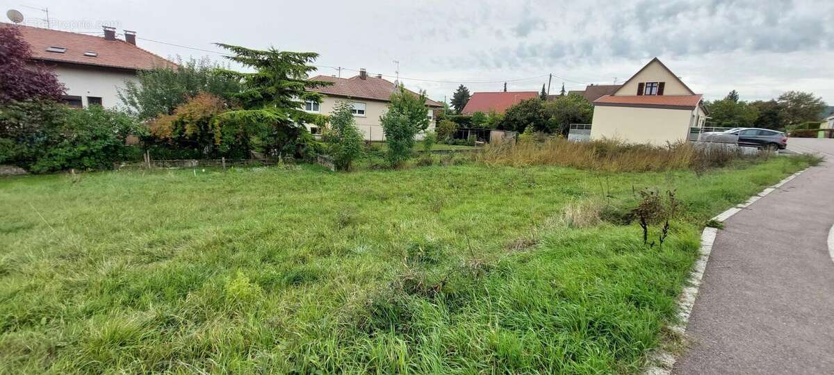 Terrain 493 m² à Westhoffen  - photo 2