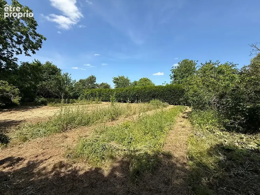 Maison 6 pièces 125m² + dépendances +1415m² de jardin - photo 2