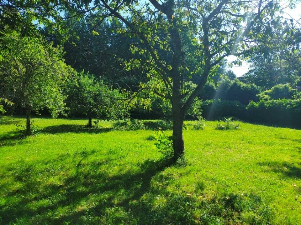 Terrain à BAIGNES-SAINTE-RADEGONDE