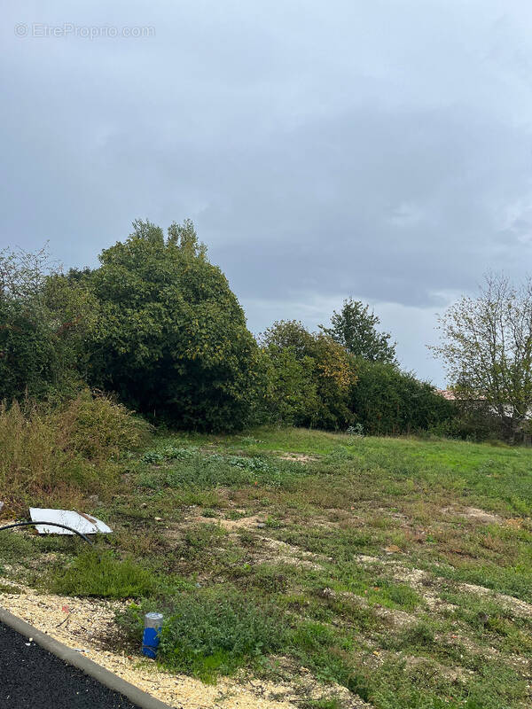Terrain à SAINT-SAVIN