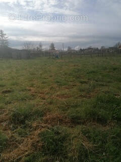 Terrain à VILLEMUR-SUR-TARN