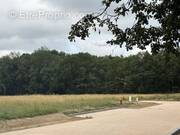 Terrain à LA SALVETAT-SAINT-GILLES