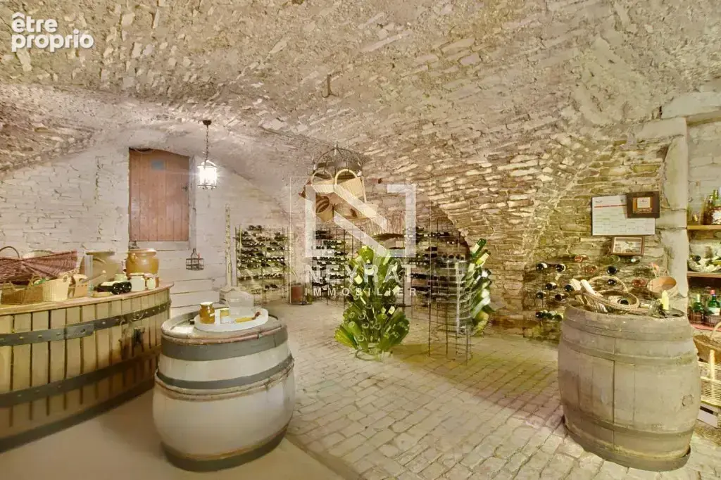 Vente en viager occupe - village de mercurey - photo 21