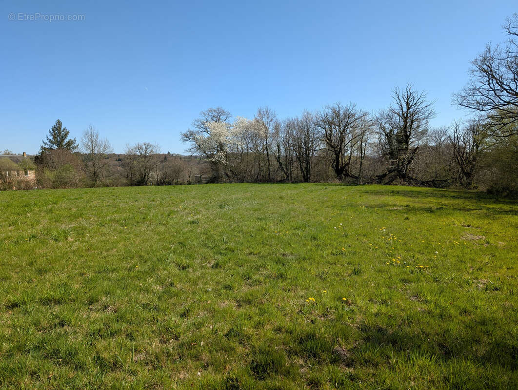 Terrain à LE LONZAC