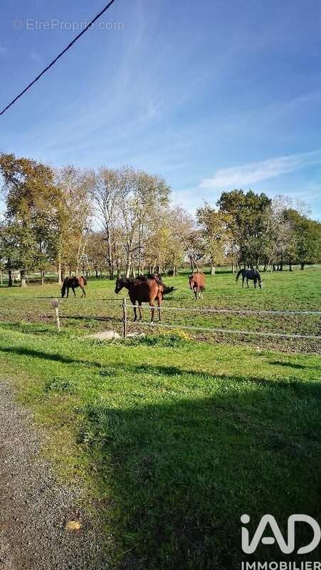 Photo 7 - Maison à ARVEYRES