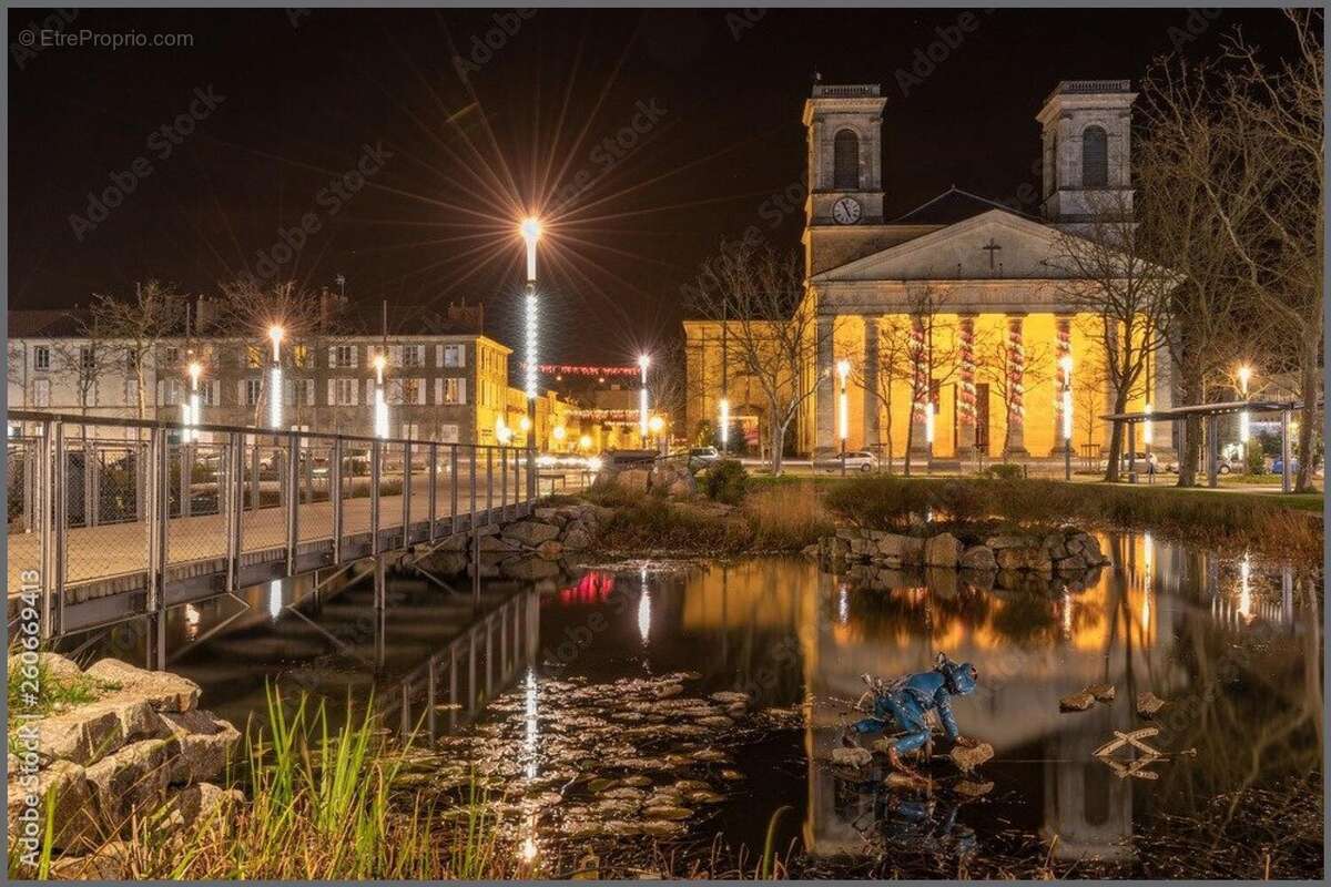 Photo 3 - Commerce à LA ROCHE-SUR-YON