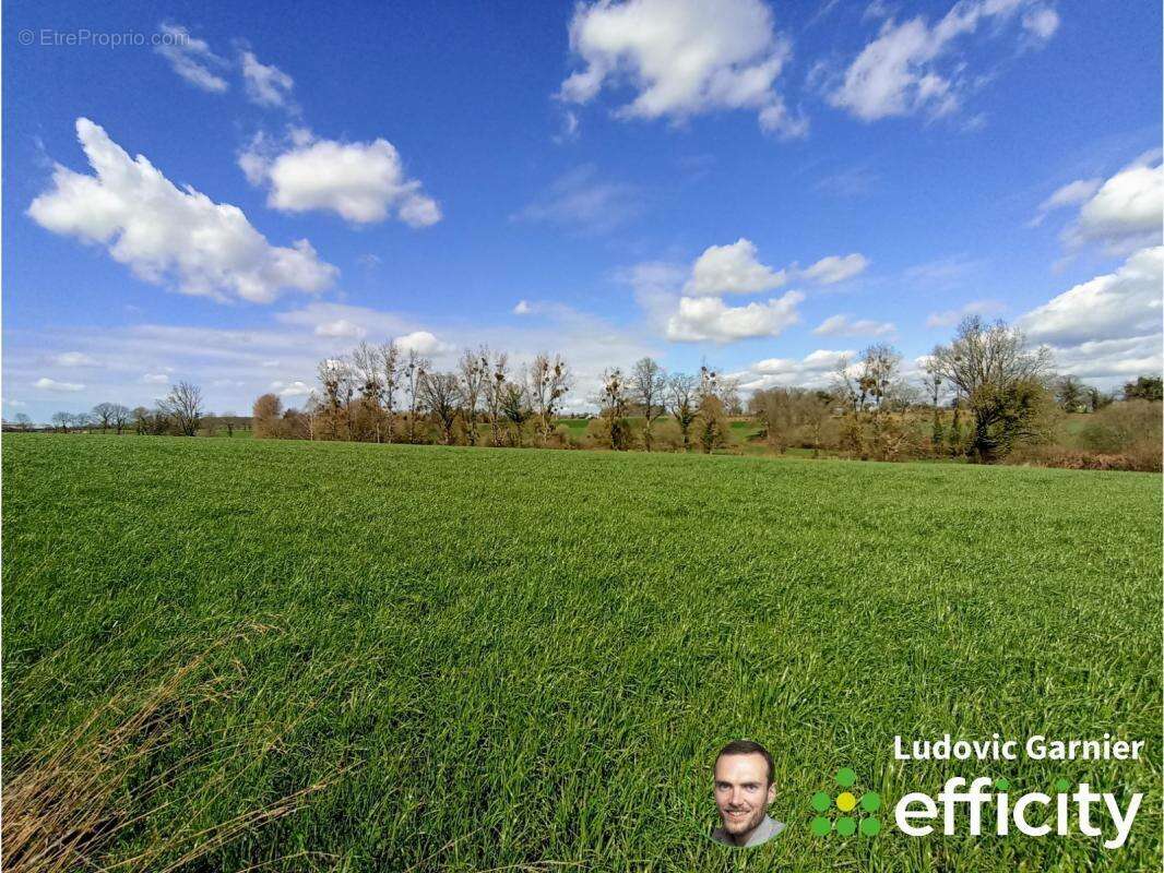 Maison à SAINT-GEORGES-DE-REINTEMBAULT